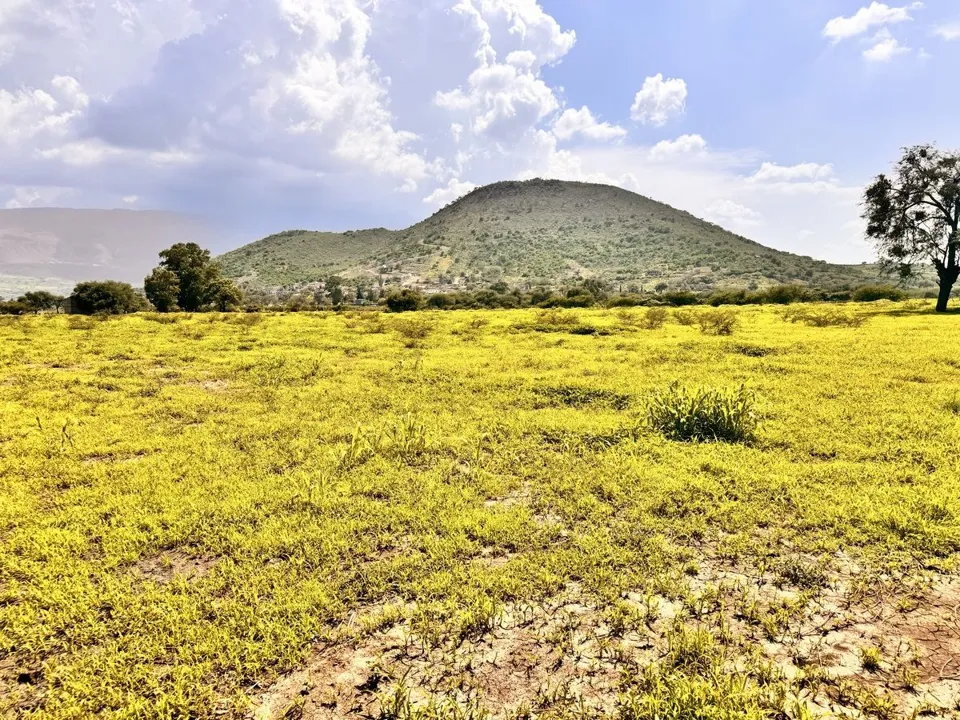 Foto 2 de TERRENO EN VENTA EN TLAJOMULCO DE ZUÑIGA, JAL.