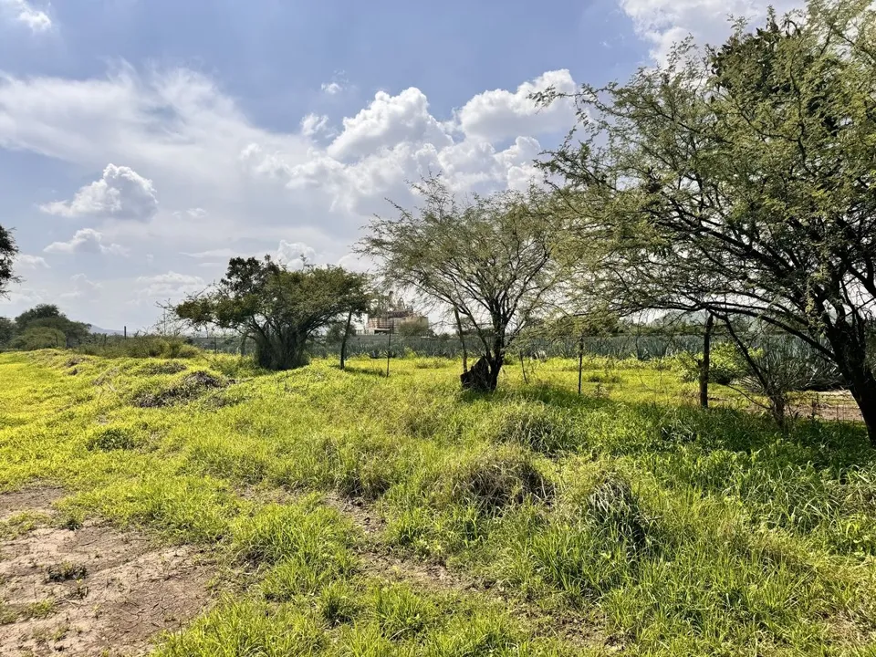 Foto 3 de TERRENO EN VENTA EN TLAJOMULCO DE ZUÑIGA, JAL.
