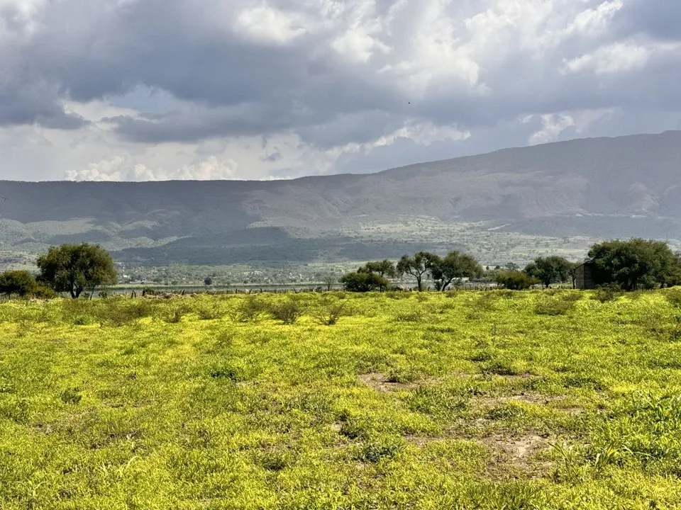 Foto 4 de TERRENO EN VENTA EN TLAJOMULCO DE ZUÑIGA, JAL.