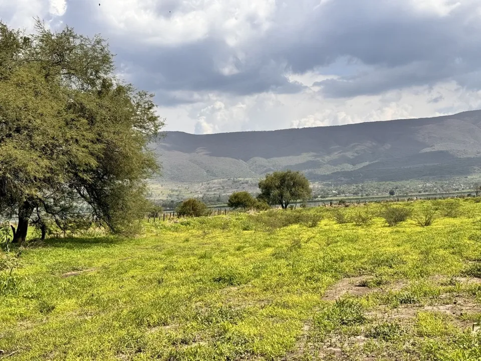 Foto 5 de TERRENO EN VENTA EN TLAJOMULCO DE ZUÑIGA, JAL.