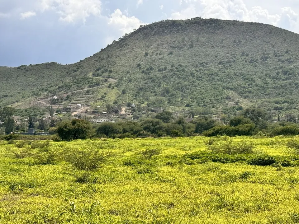 Foto 6 de TERRENO EN VENTA EN TLAJOMULCO DE ZUÑIGA, JAL.