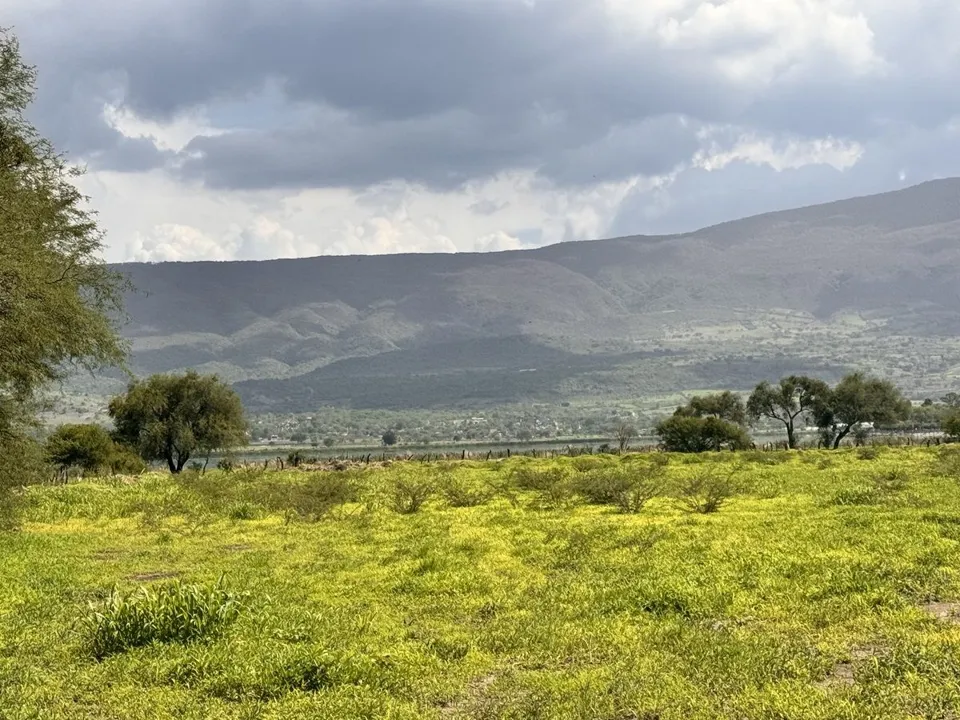 Foto 7 de TERRENO EN VENTA EN TLAJOMULCO DE ZUÑIGA, JAL.