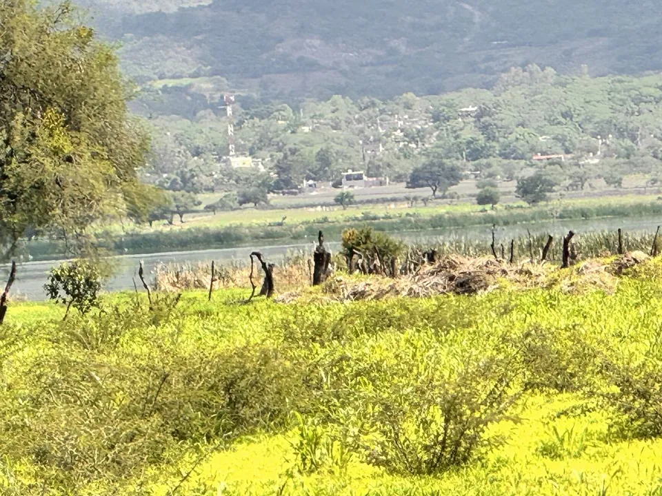 Foto 8 de TERRENO EN VENTA EN TLAJOMULCO DE ZUÑIGA, JAL.