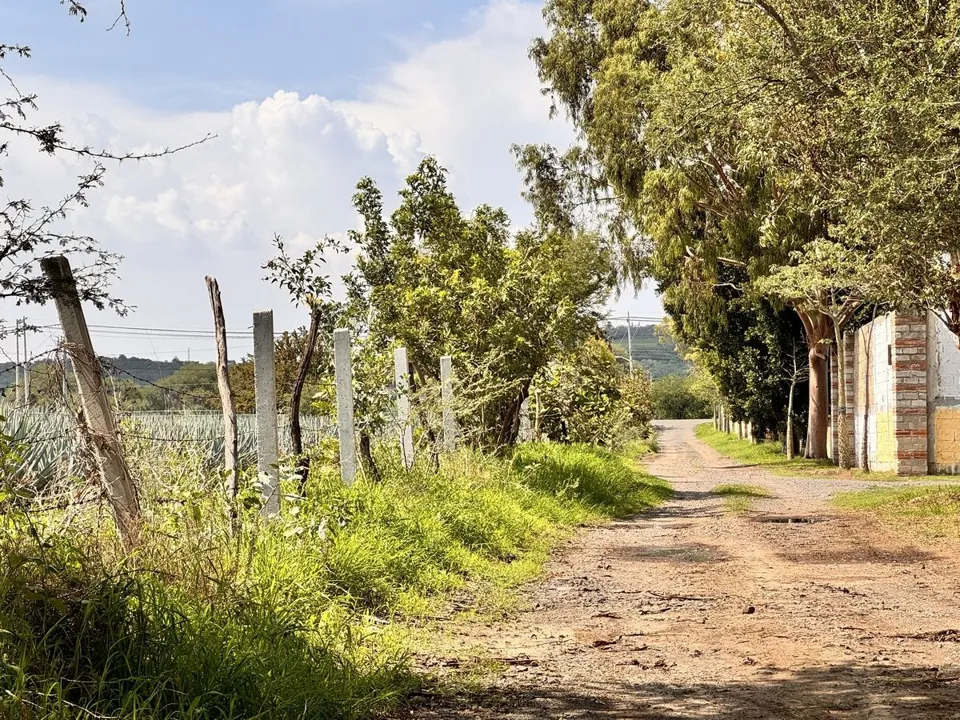 Foto 9 de TERRENO EN VENTA EN TLAJOMULCO DE ZUÑIGA, JAL.