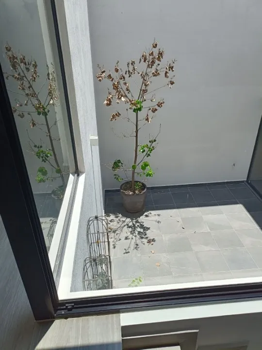 Foto 7 de Casa en renta en Paseo Panoramico, Las Cañadas, Zapopan