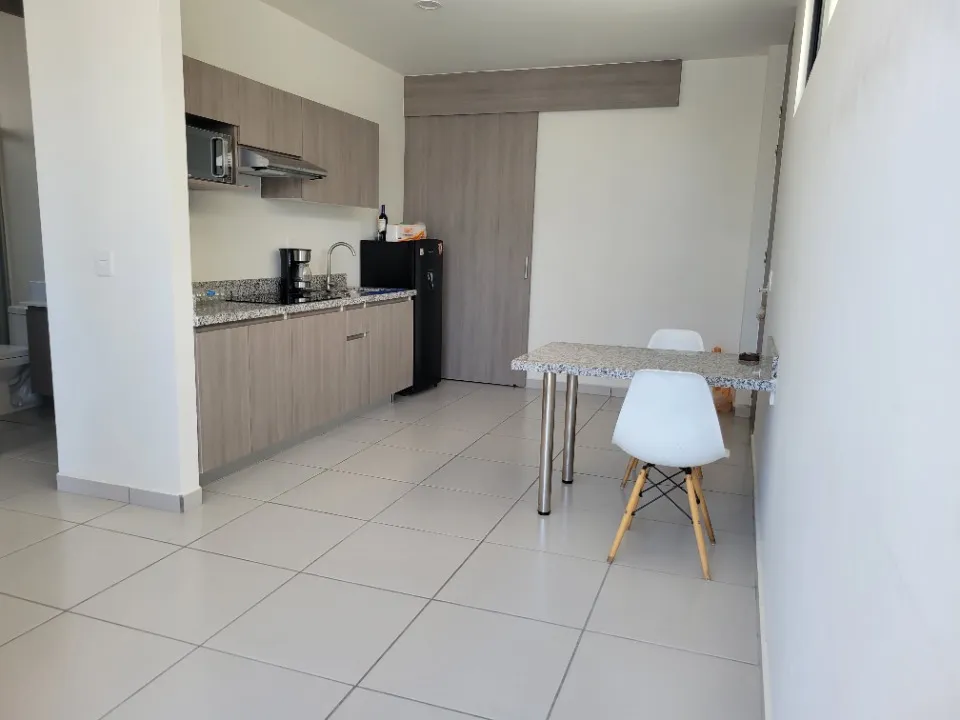Foto 2 de Departamento en venta en Calle Josefa Ortiz de Domínguez, Santa Ana Tepetitlán, Zapopan
