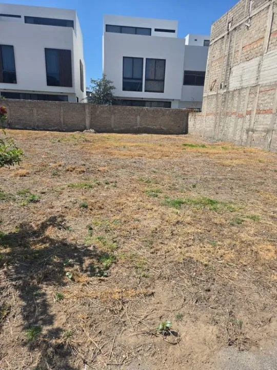 Foto 2 de Terreno en venta en Calle Paseo del Norte, Parques Vallarta, Zapopan