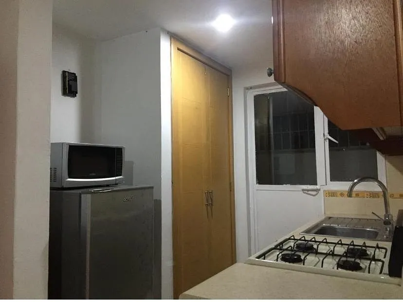 Foto 4 de Departamento en Renta AMUEBLADO