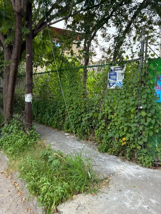 Foto 5 de Terreno en renta en Calle Isla Socorro, Jardines de San José, Guadalajara