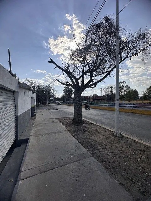 Foto 3 de Terreno Comercial en Venta, San Agustin, Tlajomulco I CTV-2331