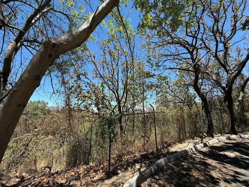 Foto 4 de Terreno en venta en PINAR DE LA VENTA, Zapopan