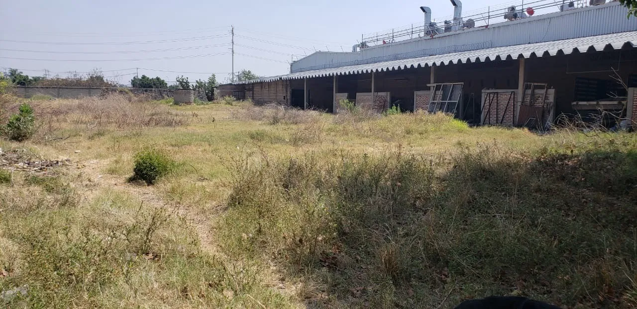 Foto 6 de Terreno en venta en Los Gavilanes, Los Gavilanes, Tlajomulco de Zuñiga
