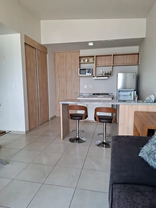 Foto 3 de Renta de Departamento en ZIMALTA