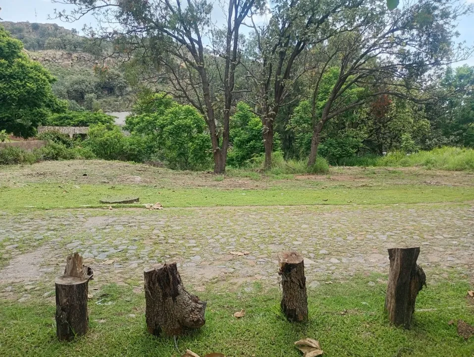 Foto 3 de Terreno en venta en carretera libre a colotlan, lomas de montechelo, zapopan