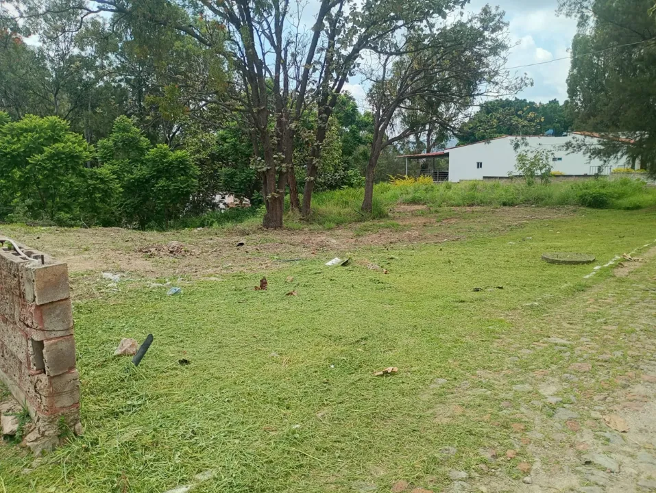 Foto 4 de Terreno en venta en carretera libre a colotlan, lomas de montechelo, zapopan