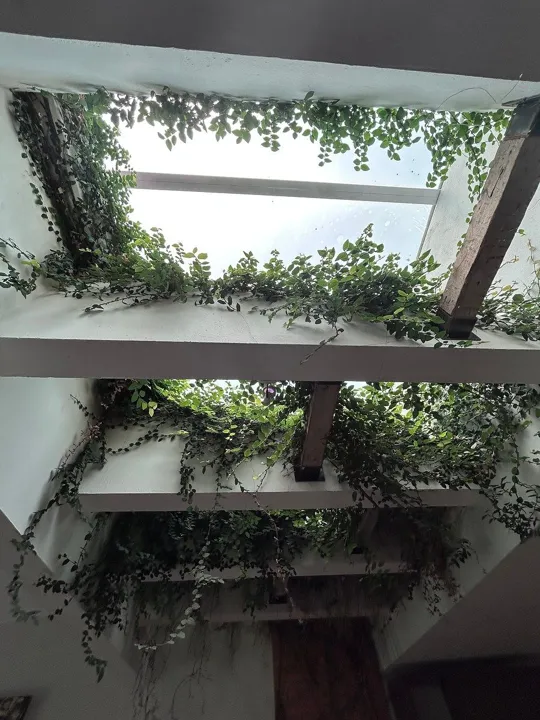 Foto 4 de Casa en Rinconada Santa Rita una planta