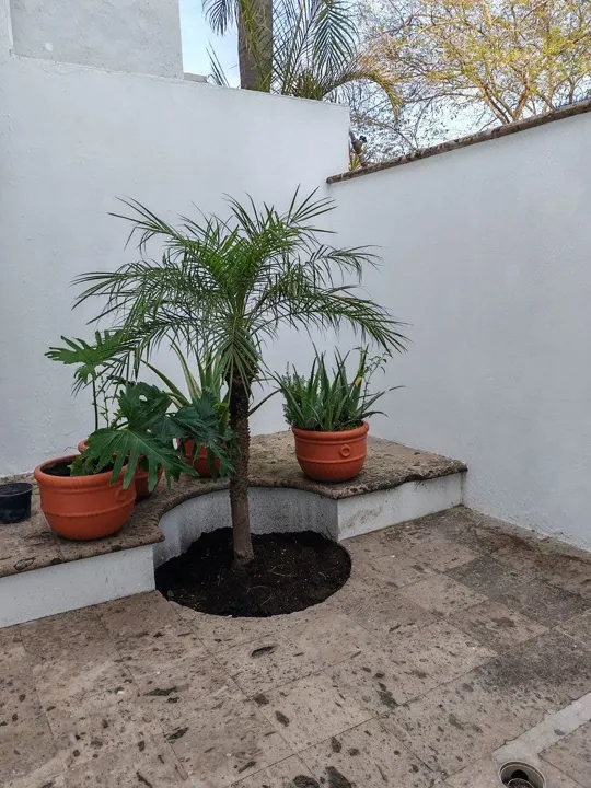 Foto 8 de CASA VENTA EN EL RANCHO SAN JOSE DEL TAJO