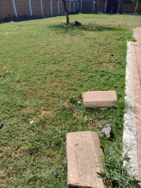 Foto 3 de Terreno en venta en Calle Gigantes, Tetlán, Guadalajara