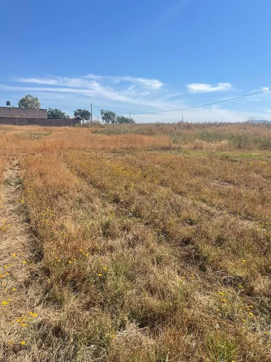 Foto 3 de Terreno en Venta en Aeropuerto - El Zapote 3