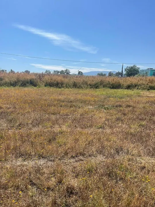 Foto 4 de Terreno en Venta en Aeropuerto - El Zapote 3