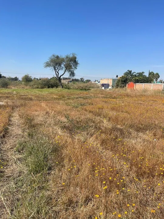 Foto 5 de Terreno en Venta en Aeropuerto - El Zapote 3