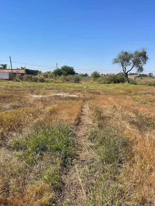 Foto 6 de Terreno en Venta en Aeropuerto - El Zapote 3