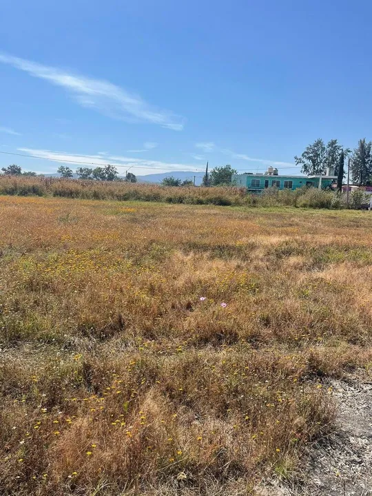 Foto 9 de Terreno en Venta en Aeropuerto - El Zapote 3