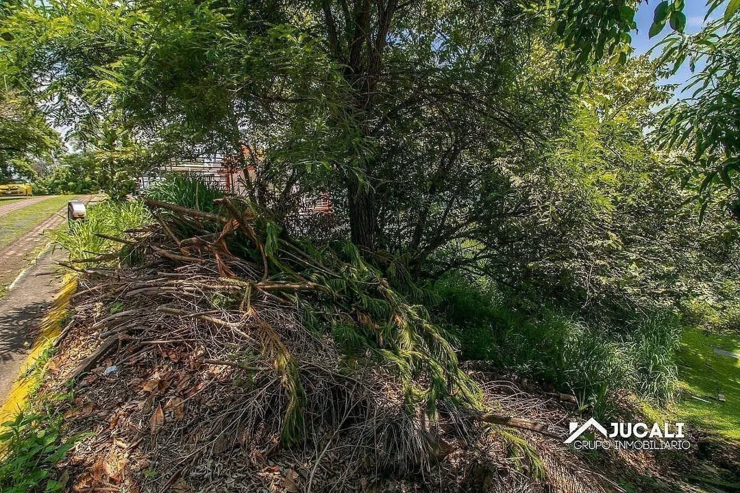 Foto 6 de Terreno en Venta con Vista Panorámica en Las Cañadas, Zapopan, Jalisco
