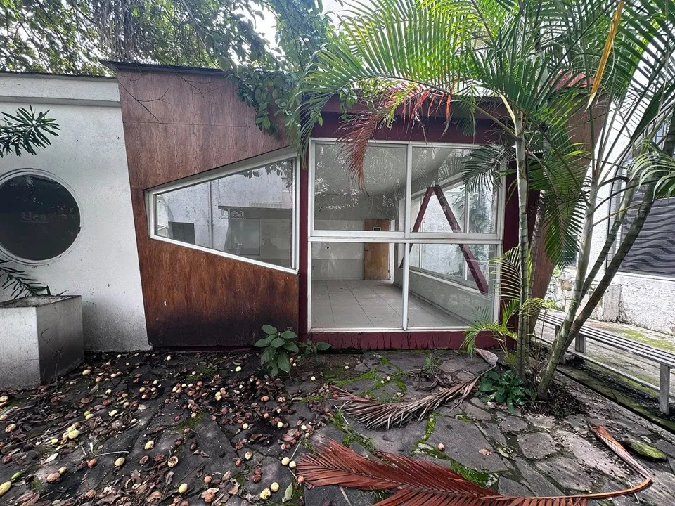 Foto 3 de Casa en venta o renta en Av. Américas