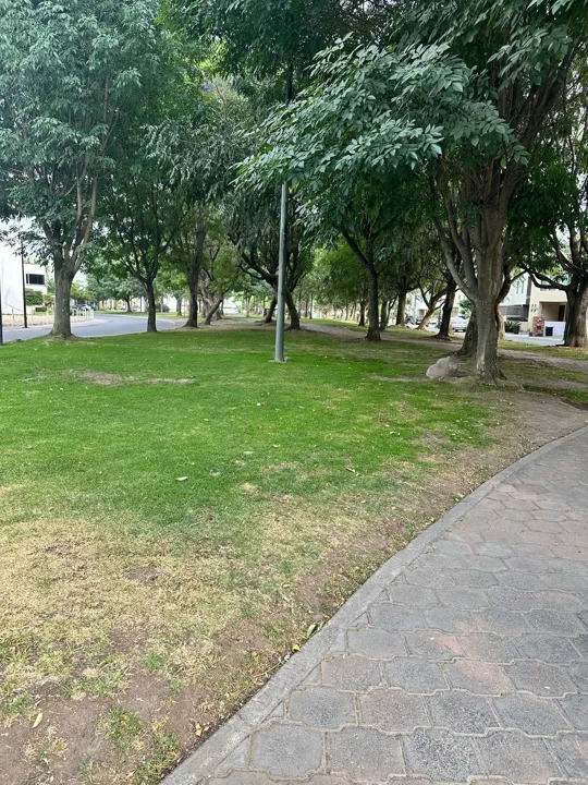 Foto 3 de Terreno en venta El Pilar