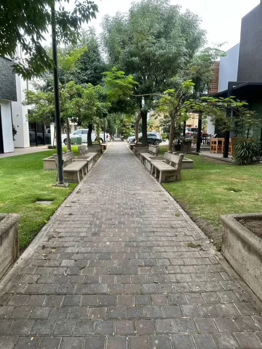 Foto 4 de Terreno en venta El Pilar