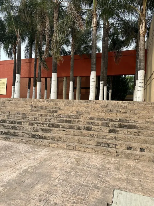 Foto 5 de Terreno en venta El Pilar