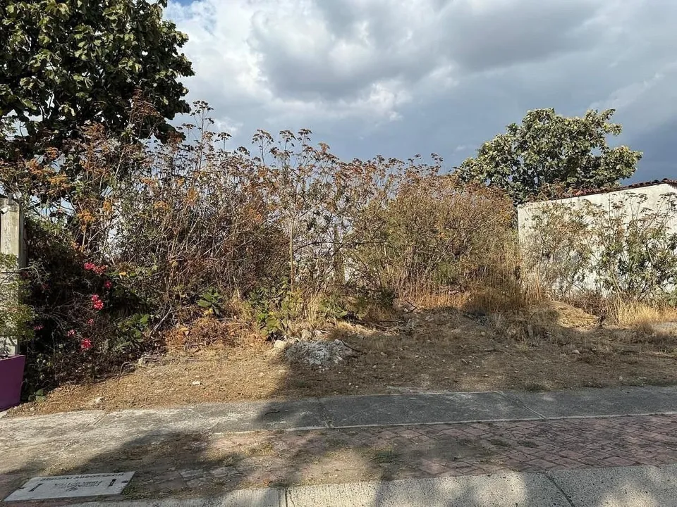 Foto 3 de SE VENDE HERMOSO TERRENO EN EL PALOMAR