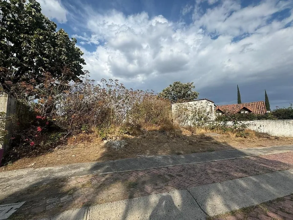Foto 4 de SE VENDE HERMOSO TERRENO EN EL PALOMAR