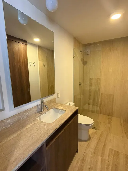 Foto 6 de DEPARTAMENTO EN VENTA COLONIA PROVIDENCIA
