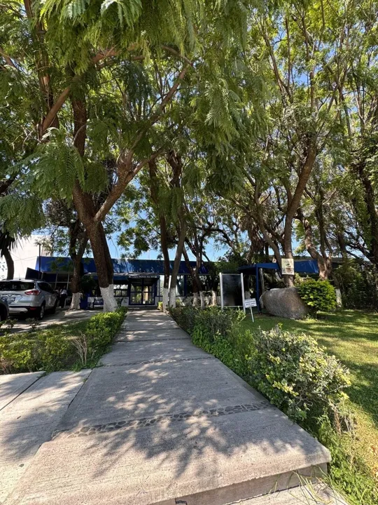 Foto 3 de Oficinas en Venta en La Calma, Zapopan