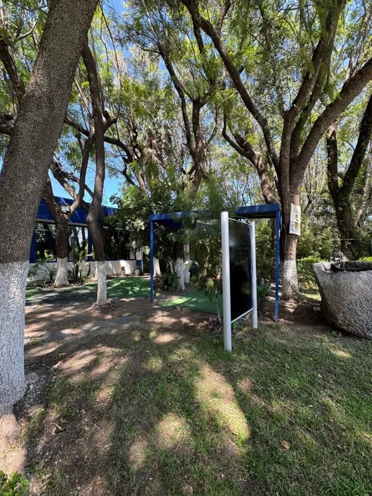 Foto 4 de Oficinas en Venta en La Calma, Zapopan