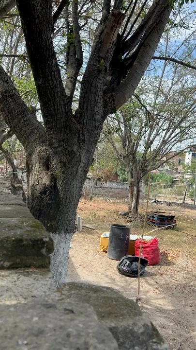 Foto 9 de Terreno en venta en Manuel María Lombardini, Rancho Nuevo, Guadalajara