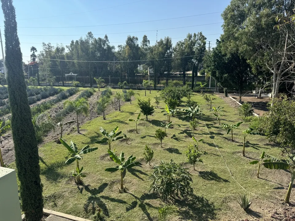 Foto 4 de Terreno Industrial en Venta en Aeropuerto - Camino viejo a los Laureles 75