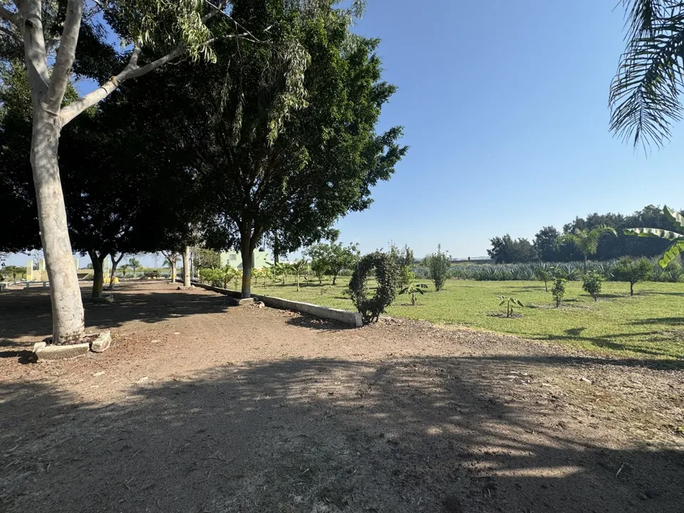 Foto 6 de Terreno Industrial en Venta en Aeropuerto - Camino viejo a los Laureles 75