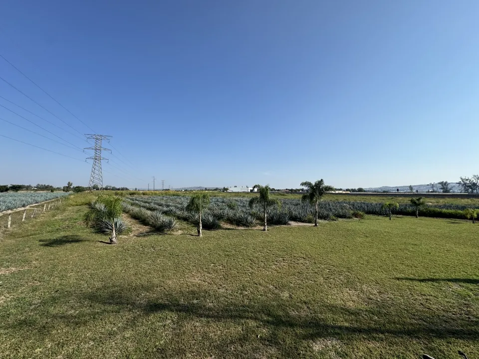 Foto 7 de Terreno Industrial en Venta en Aeropuerto - Camino viejo a los Laureles 75