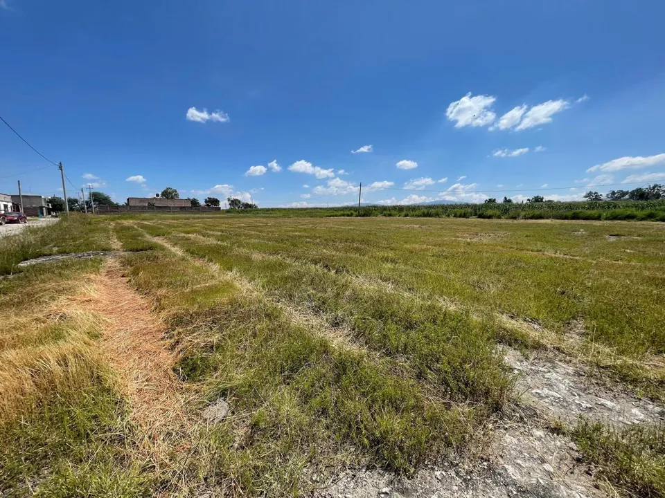 Foto 8 de Terreno en Venta en Aeropuerto - El Zapote 251