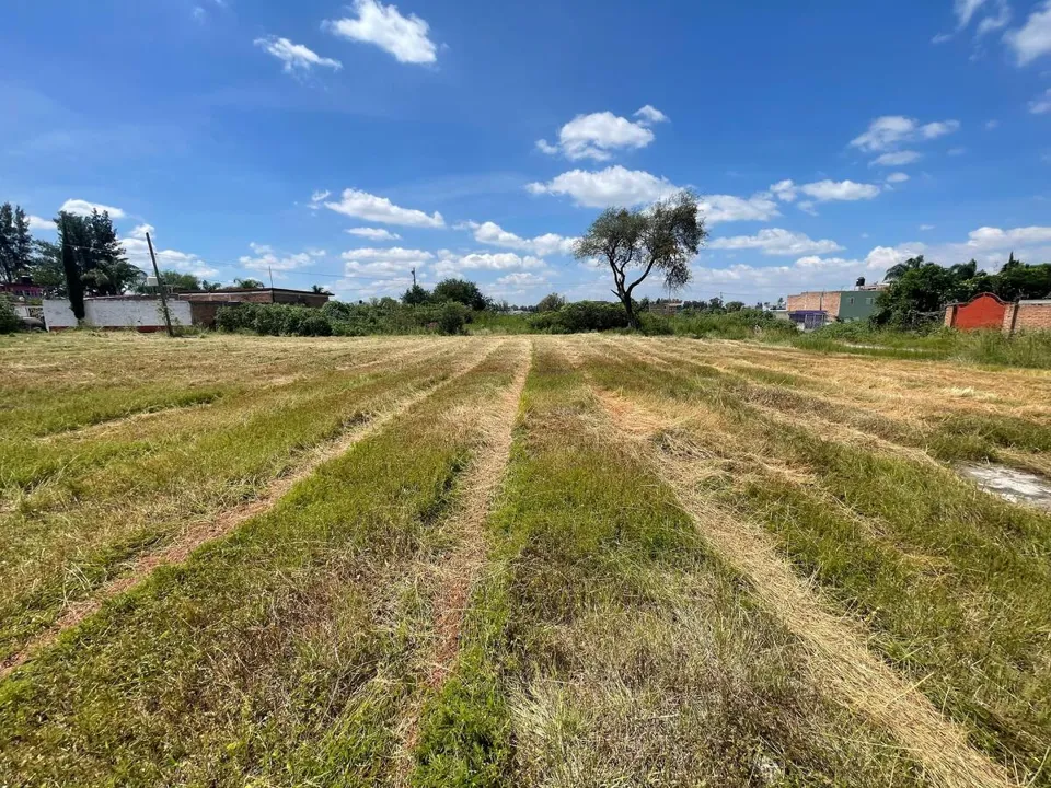 Foto 9 de Terreno en Venta en Aeropuerto - El Zapote 251