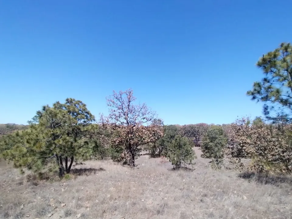 Terreno en Venta en La Primavera - Ex Hacienda La Primavera