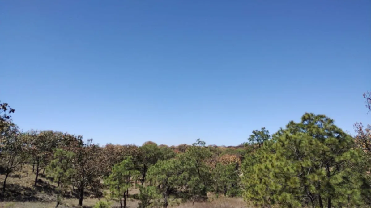 Foto 5 de Terreno en Venta en La Primavera - Ex Hacienda La Primavera