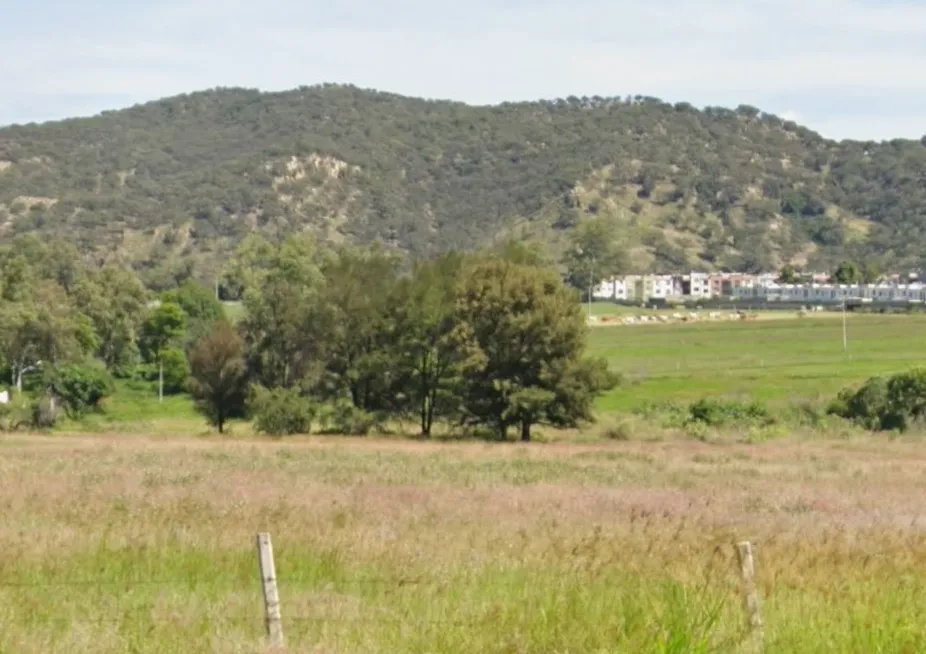 Foto 3 de Terreno en venta en Carr. A Colotlán, El Taray, Zapopan