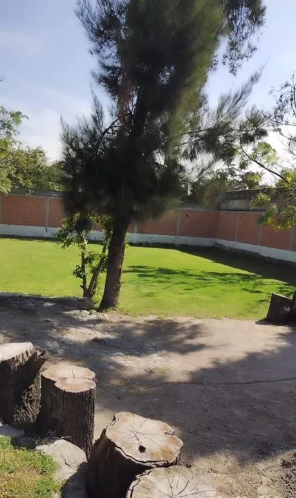 Foto 2 de Terreno en renta en San Agustin Tlajomulco