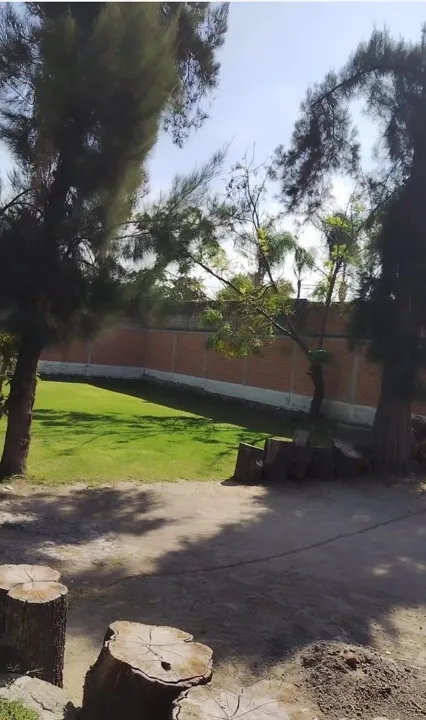 Foto 4 de Terreno en renta en San Agustin Tlajomulco