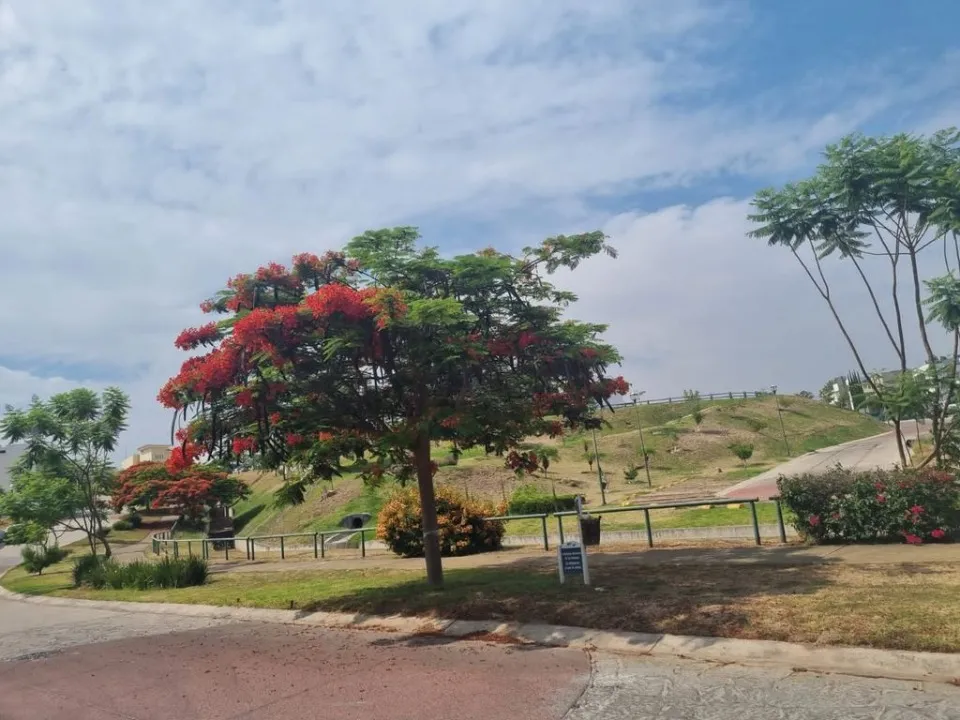 Terreno en venta en Sendero orquideas, Senderos de Monte Verde, Tlajomulco de Zúñiga