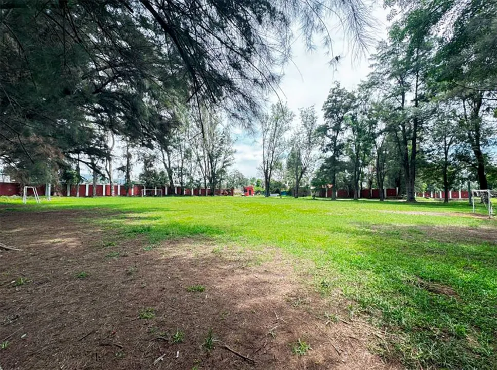 Foto 5 de TERRENO EN VENTA EN SAN AGUSTIN
